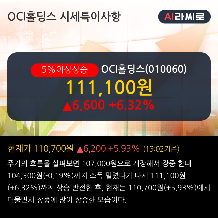 OCI홀딩스(010060) : 씽크풀